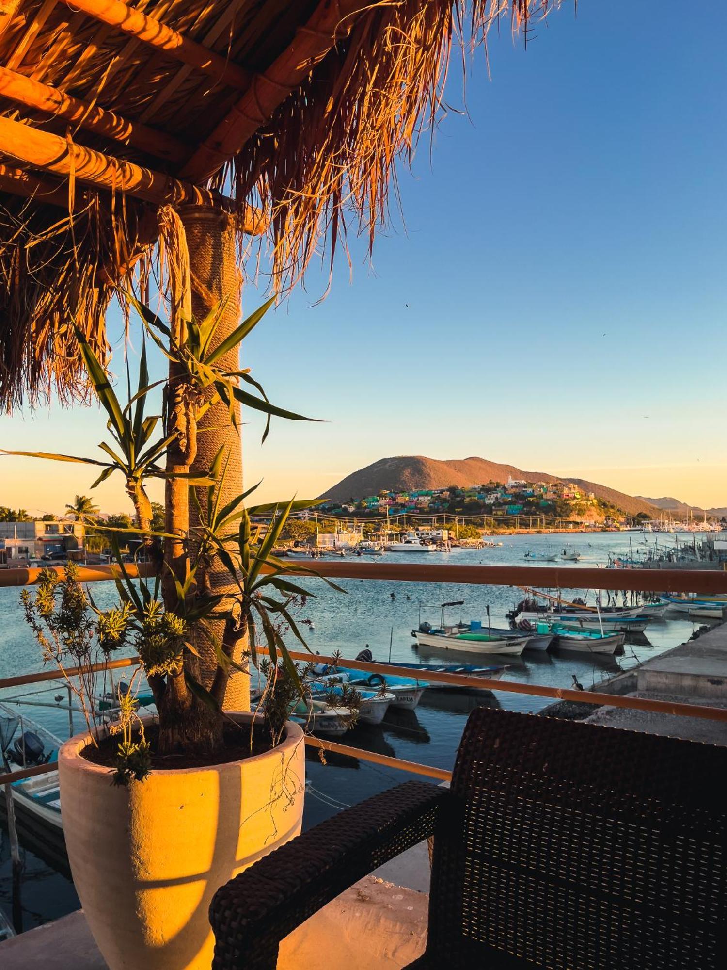 Hotel Sealion Dive Center Topolobampo Exterior foto